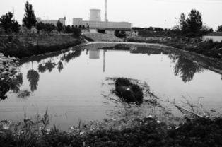 死水图片,探寻生态失衡的警示画卷