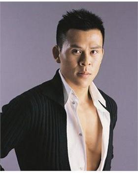 陈少华个人资料简历,从平凡走向卓越的奋斗历程