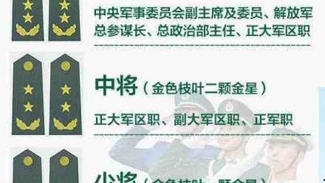 军衔等级排名图片