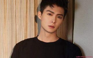 张铭恩个人资料身高,阳光帅气，魅力四溢的影视新星