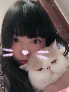 满汉个人资料,跨界融合的艺术探索者