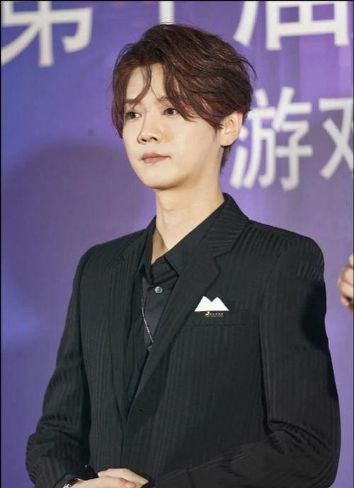 明星发胶,揭秘发胶在造型中的神奇魔力