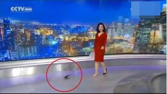 央视女主播踢飞鞋子,引发网友热议！